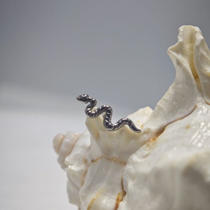 16G チタン製インプラントグレード高研磨内部ネジ式スネーク - Body Jewelry Implant Grade のレビューと価格